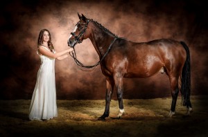 photo studio chevaux-32